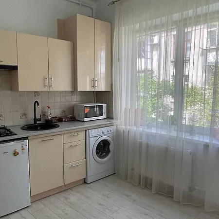 Scandic Loft With Balcony Apartment